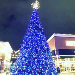 Meet your Posher, Nina